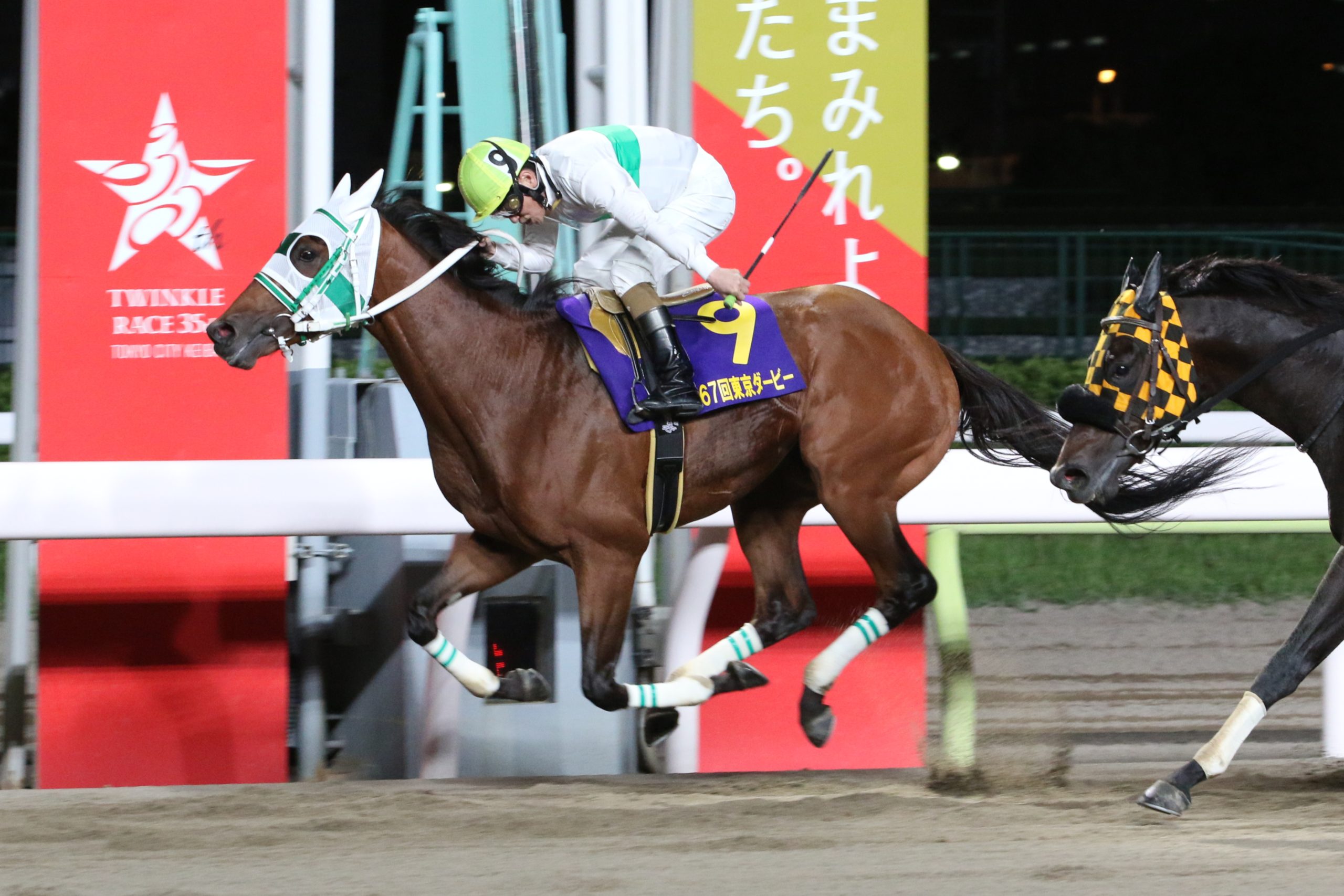 地方競馬,大井競馬,アランバローズ